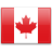 CAD flag