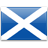 SCO flag